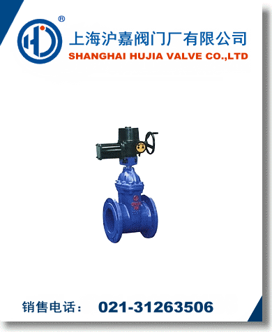 電動(dòng)軟密封閘閥